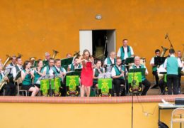 Wakacyjny koncert w Gliwicach-Sośnicy (22.07.2018 r.) foto. A.Witwicki